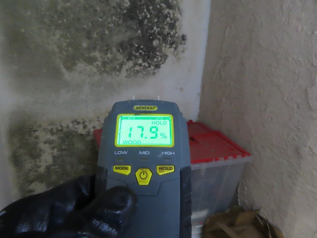 Mold Inspector in Los Angeles